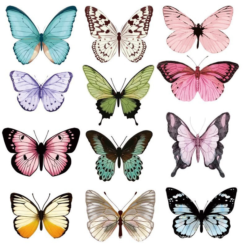 12pcs Stiker Dinding Kupu-kupu - Art Craft Birthday Party ulasan dan harga
